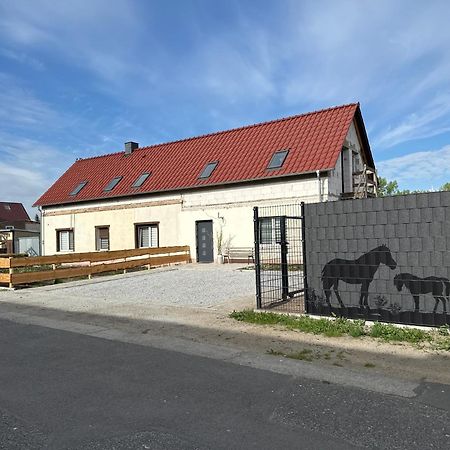 W Diamonds Ranch Apartment Grossraeschen Luaran gambar